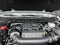 2025 Nissan Frontier Crew Cab PRO-4X 4x4