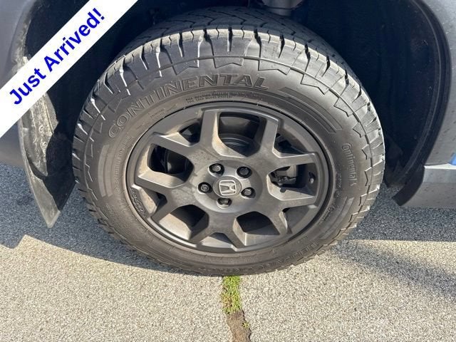 2024 Honda Pilot TrailSport