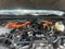 2025 Toyota 4Runner Hybrid Platinum