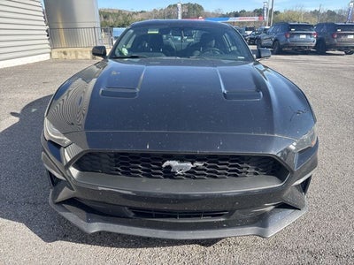 2019 Ford Mustang EcoBoost