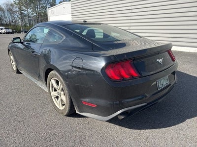 2019 Ford Mustang EcoBoost