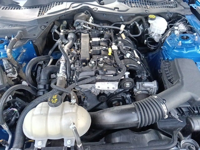 2021 Ford Mustang EcoBoost