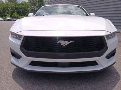 2024 Ford Mustang EcoBoost