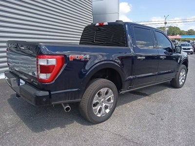 2023 Ford F-150 Platinum