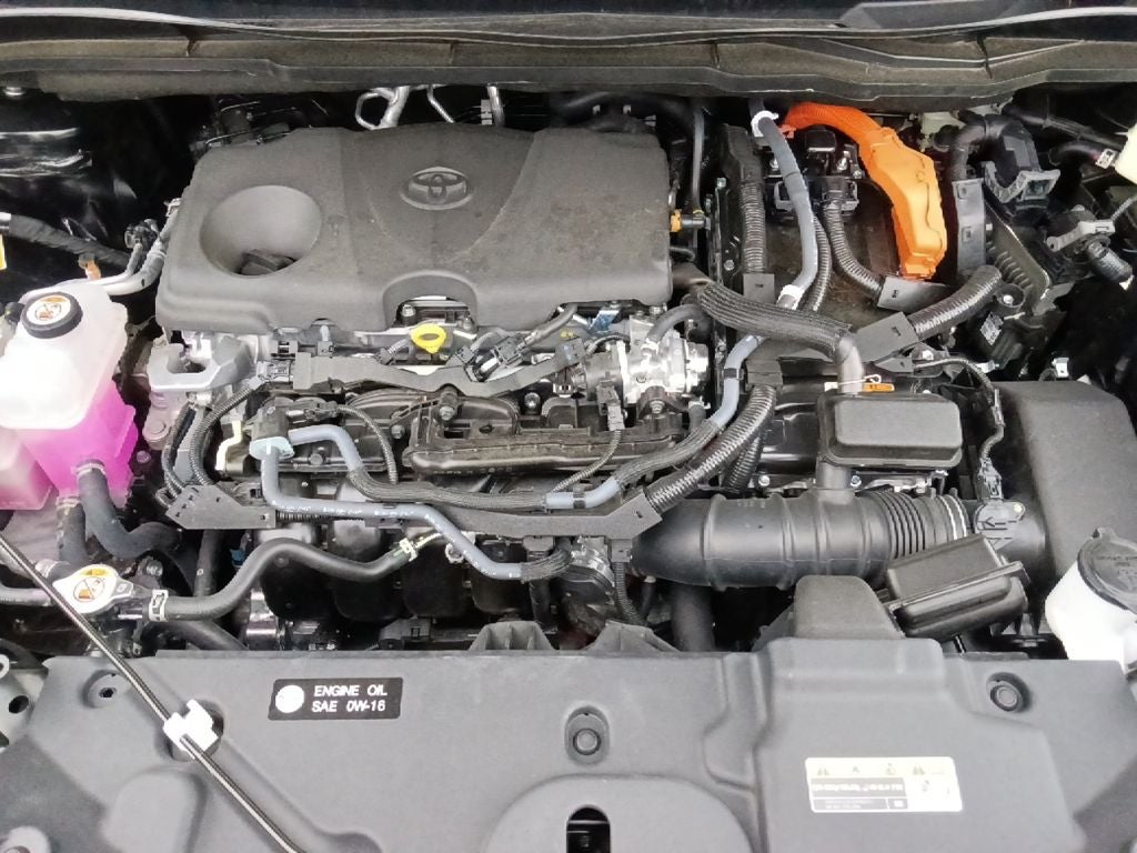 2025 Toyota Sienna Platinum 7 Passenger