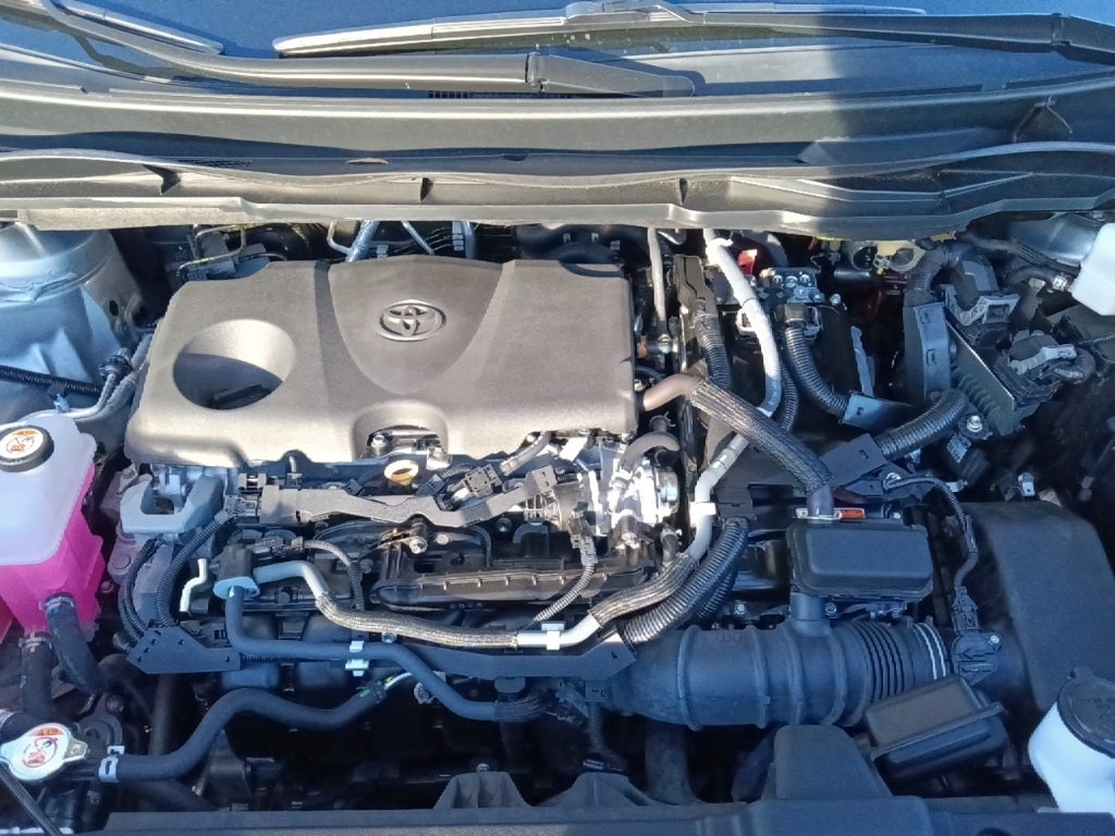 2022 Toyota Sienna Limited 7 Passenger