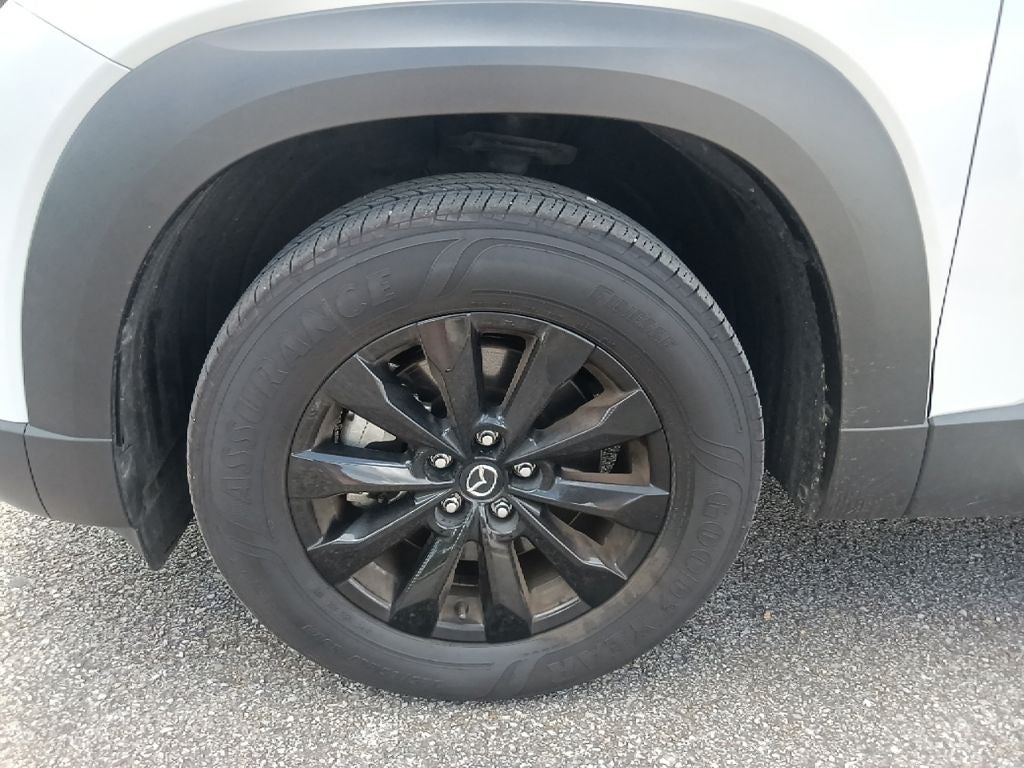 2025 Mazda Mazda CX-50 2.5 S Premium Package