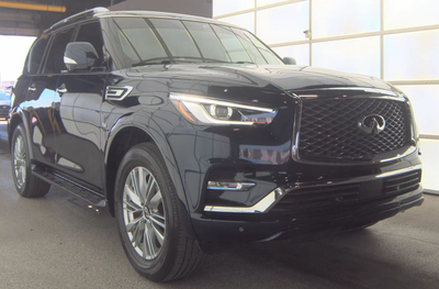 2019 INFINITI QX80 LUXE