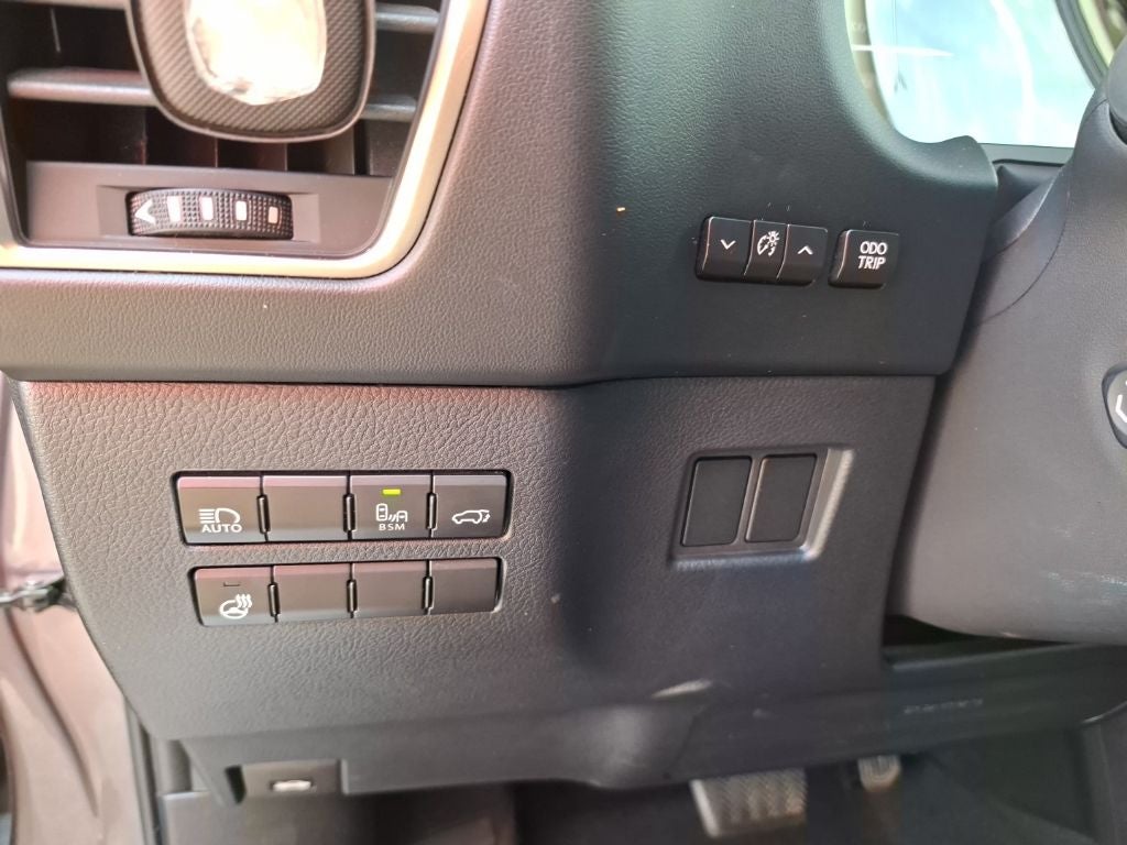2019 Lexus NX 300h