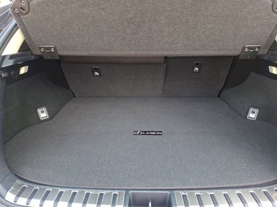 2019 Lexus NX 300h