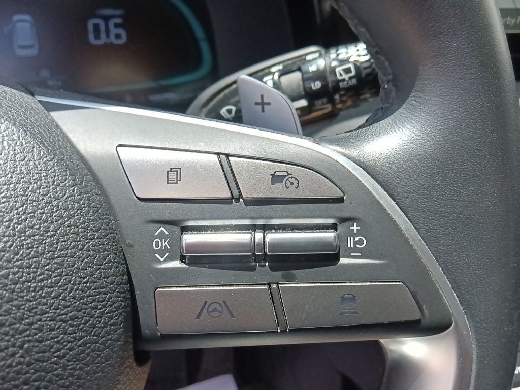 2024 Hyundai Palisade SEL 7 Passenger