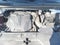 2022 Kia Carnival LXS